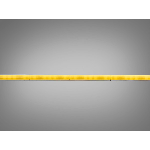 COB LED стрічка 24В, 320 діодів на метр, 5мм, холодний Diasha P24-COB-400-CW-20-3