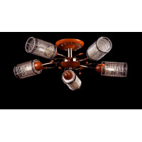 Люстра с плафонами Splendid-Ray 879874(FGD)
