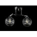 Люстра с плафонами  L06444/2 (BLACK+CHROME) Splendid-Ray
2597