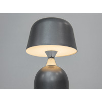 Настольная лампа на аккумуляторе USB 5 Вт Diasha 930031GR