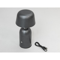 Настольная лампа на аккумуляторе USB 5 Вт Diasha 930031GR