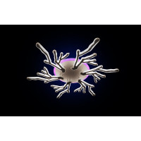 Люстра светодиодная Linisoln 1837/6 WH LED