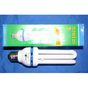 Энергосберегающая лампа ELT  30W Splendid-Ray
4897