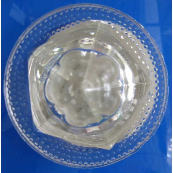 Точечный светильник OSD308 (WT) Splendid-Ray
999538