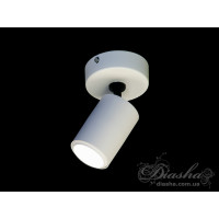 Накладний точковий світильник направленого світла Diasha 130A-WH