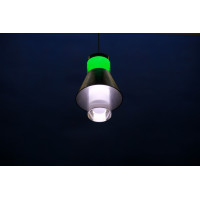 Подвесная люстра  L78052/1 (BL+WT) Splendid-Ray
212104