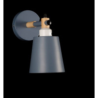 Бра с плафонами BH168/1 (GRAY) Splendid-Ray
2485