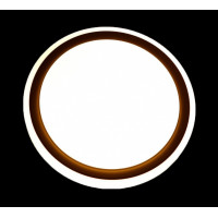 Светодиодная люстра L9221/24W*2 LED (WT+BK) Splendid-Ray
1999518