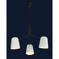 Люстры LOFT Levistella 918P341-3 BK+WH
