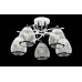 Люстра с плафонами  L06429/5 (WHITE+CHROME) Splendid-Ray
1002552
