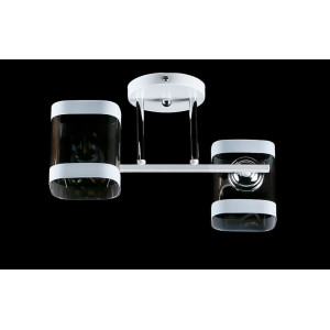 Люстра с плафонами  LGH60188/2 (WT+CR) Splendid-Ray
286369