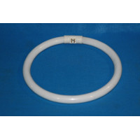 Энергосберегающая лампа 32W 220V WHITE Splendid-Ray
995551