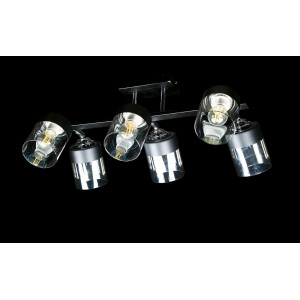 Люстра с плафонами  LGH10312/6 (BK+CR) Splendid-Ray
286343