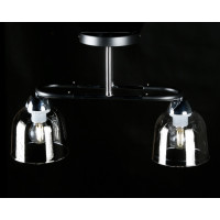 Люстра с плафонами  LGH50316/2 (BK+CR) Splendid-Ray
286130