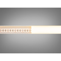 LED стрічка 24в, 240 діодів на метр, 15мм, теплий+холодний Diasha N24-2835-240-CW+WW-20-15