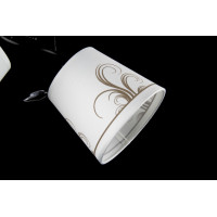 Люстры потолочные с пафоном Splendid-Ray 401017 (BK+B)