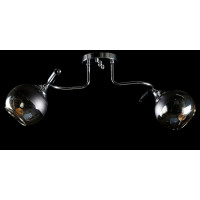Люстра с плафонами  L2399B/2 (CR+BLK) Splendid-Ray
260786