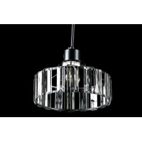 Подвесная люстра  L7396/1 (BK) Splendid-Ray
234533