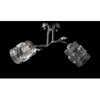Люстра с плафонами  L19929/2 (CR) Splendid-Ray
0260863