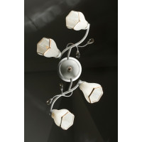 Люстры потолочные с пафоном Splendid-Ray 211093 (GB+WT)