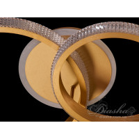 Люстра потолочная светодиодная Diasha 6010/2G 