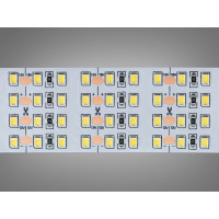 LED стрічка 12в, 480 діодів на метр, 30мм, холодний Diasha N12-2835-480-CW-20-30