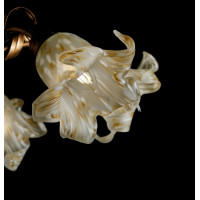 Люстра с плафонами Splendid-Ray 192428