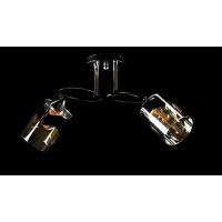 Люстра с плафонами  L6945B/2 (BLK+CR) Splendid-Ray
260805