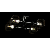 Потолочная люстра со стеклянным плафоном Splendid-Ray 286139