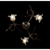 Люстра с плафонами Splendid-Ray 880085 (FGD+BRN2)