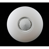 Светодиодная люстра Splendid-Ray 1999540/24W*2 LED+BLUETOOTH (WT)