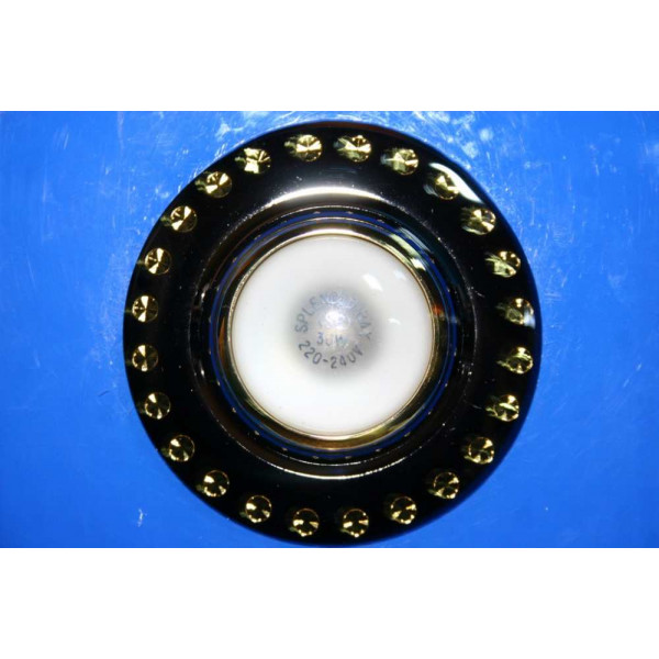 Точечный светильник ZJ1120B R39(с лампочкой) (GMG) Splendid-Ray
145054