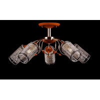 Люстра с плафонами Splendid-Ray 879874(FGD)