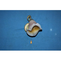 Бра с плафонами B90872A/1 Splendid-Ray
192143