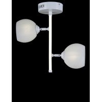 Люстры потолочные с пафоном  Splendid-Ray 1002722 (WHITE) 