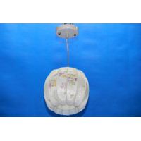 Подвесная люстра  L29163/1 (MIX) Splendid-Ray
212239