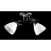 Люстра с плафонами  L8431/2 (BK+CR) Splendid-Ray
234451