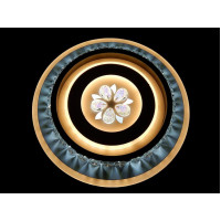 Светильник потолочный светодиодный LED Linisoln 2190