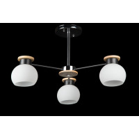 Люстра с плафонами Splendid-Ray 260593(BLK+CR)
