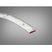 LED стрічка 24в, 180 шт/м, герметична, 8мм, нейтральний Diasha N24-2835-180-NW-65-8
