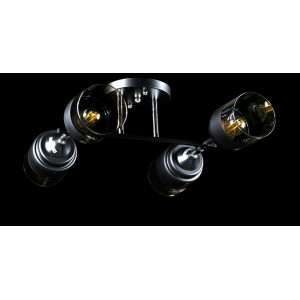 Люстра с плафонами  L91134/4 (BLK+CR) Splendid-Ray
260848