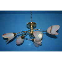 Люстра с плафонами  Y6140/6 Splendid-Ray
191038