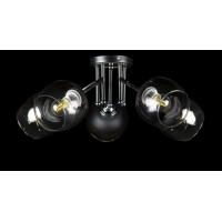 Потолочная люстра со стеклянным плафоном Splendid-Ray 286155