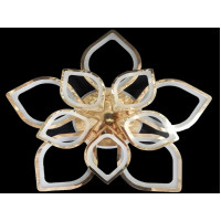 Cветодиодная люстра Linisoln 5540/5+5 FG