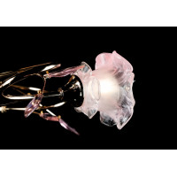 Люстра с плафонами Splendid-Ray 880086(FGD+MIX(PK1+GR1)