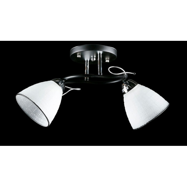 Люстра с плафонами  L8431/2 (BK+CR) Splendid-Ray
234451