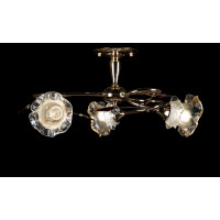 Люстра с плафонами Splendid-Ray 880085 (FGD+BRN2)
