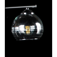 Люстра с плафонами Splendid-Ray 286150(BK+CR)