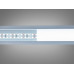 LED стрічка 24в, 240 діодів на метр, 15мм, холодний Diasha N24-2835-240-CW-20-15