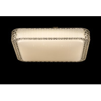 Светодиодная люстра Splendid-Ray 1999519/24W*2 LED (WT) 